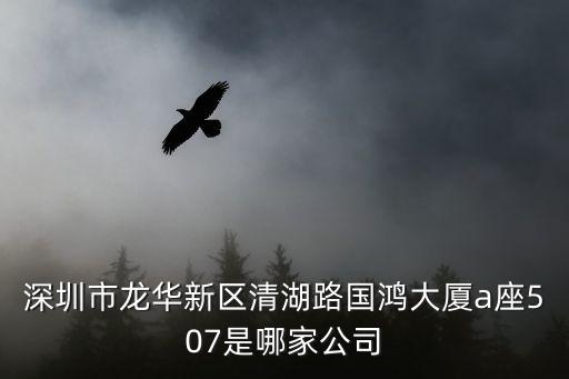深圳市龍華新區清湖路國鴻大廈a座507是哪家公司