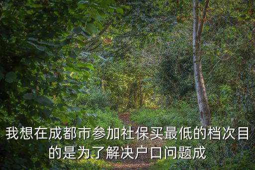 成都市社保最低檔購買，成都市以個人名義買最低檔社保一個月需繳多少錢
