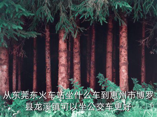 從東莞東火車站坐什么車到惠州市博羅縣龍溪鎮(zhèn)可以坐公交車更好