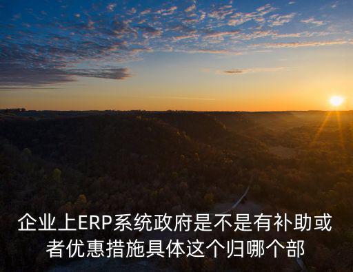 企業上ERP系統政府是不是有補助或者優惠措施具體這個歸哪個部