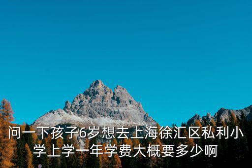 上海市各區(qū)民辦小學(xué)及學(xué)費(fèi)，上海徐匯區(qū)有哪幾家收費(fèi)不是太高的民辦小學(xué)地址在哪里謝謝回答