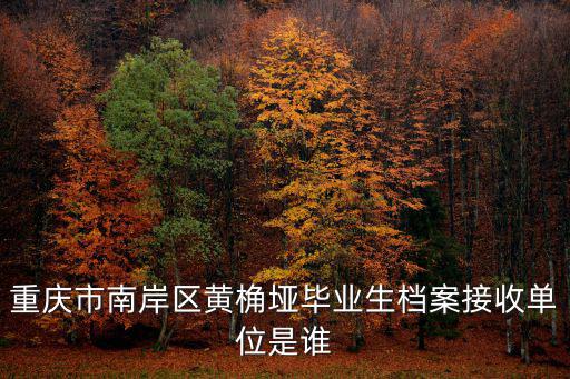重慶市南岸區科技局，重慶市南岸區科學技術委員會屬什么級別