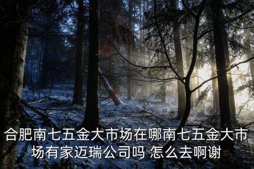 合肥南七五金大市場在哪南七五金大市場有家邁瑞公司嗎 怎么去啊謝