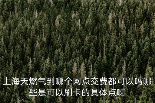 上海市 燃氣管網，上海天燃氣到哪個網點交費都可以嗎哪些是可以刷卡的具體點啊