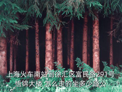 上海火車南站到徐匯區富民路291號悟錦大樓 怎么走的坐多少路公