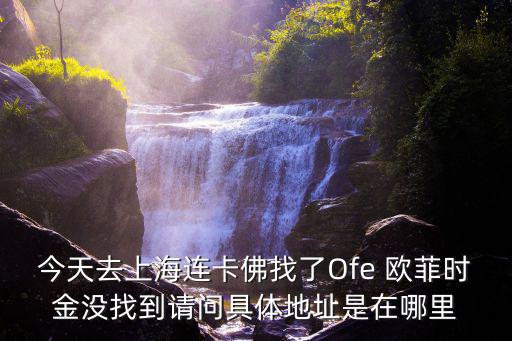 今天去上海連卡佛找了Ofe 歐菲時金沒找到請問具體地址是在哪里