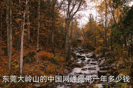 東莞大嶺山的中國網通寬帶一年多少錢