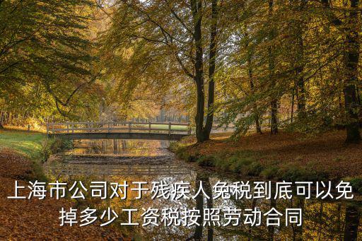 上海市殘疾人免稅政策，上海殘疾人購房稅收有優(yōu)惠嗎
