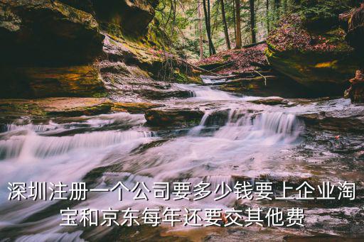 深圳市藥檢所的規(guī)模 注冊資金 年?duì)I業(yè)額，在深圳小規(guī)模納稅人怎樣才能變成一般納稅人有沒有年銷售額不到