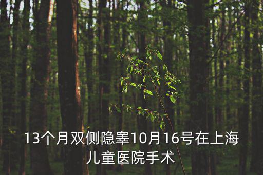 13個月雙側(cè)隱睪10月16號在上海兒童醫(yī)院手術(shù)