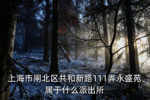 上海市閘北區共和新路111弄永盛苑屬于什么派出所