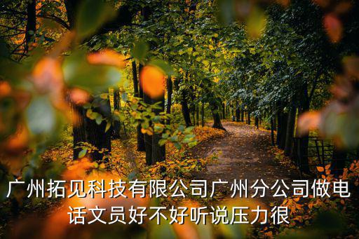廣州拓見科技有限公司廣州分公司做電話文員好不好聽說壓力很