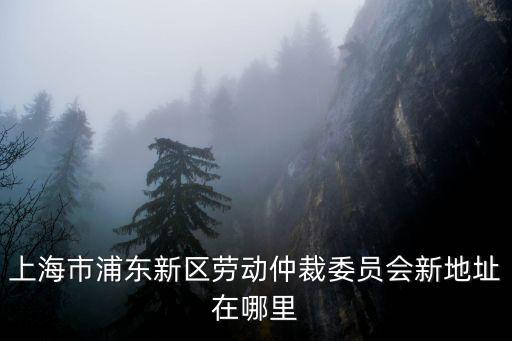 上海市浦東新區勞動人事爭議仲裁委員會，浦東新區勞動仲裁委員會南匯庭地址和電話