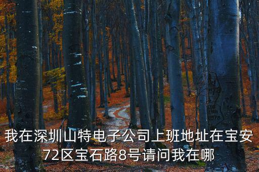 我在深圳山特電子公司上班地址在寶安72區(qū)寶石路8號(hào)請(qǐng)問我在哪