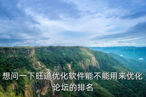 東莞廣告牌意外，想問(wèn)一下旺道優(yōu)化軟件能不能用來(lái)優(yōu)化論壇的排名