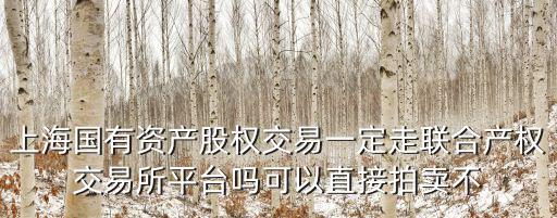 上海國(guó)有資產(chǎn)股權(quán)交易一定走聯(lián)合產(chǎn)權(quán)交易所平臺(tái)嗎可以直接拍賣(mài)不