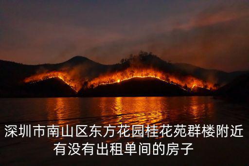 深圳市南山區東方花園桂花苑群樓附近有沒有出租單間的房子