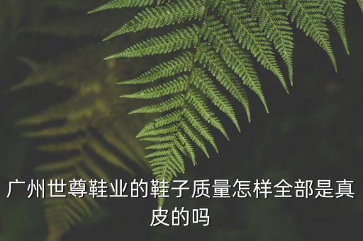 廣州金輪鞋業鞋子好嗎，廣東那邊鞋業好做嗎