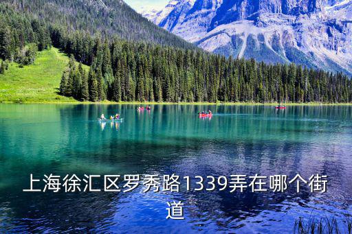 上海市羅秀路，上海徐匯區羅秀路1339弄在哪個街道