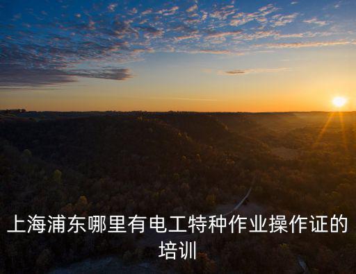 上海浦東哪里有電工特種作業(yè)操作證的培訓
