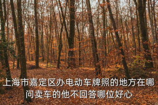 上海市嘉定區辦電動車牌照的地方在哪問賣車的他不回答哪位好心