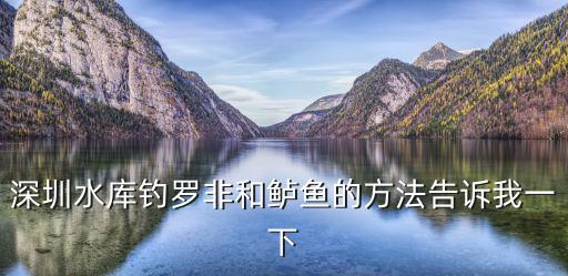 深圳釣鱸魚，深圳水庫釣羅非和鱸魚的方法告訴我一下