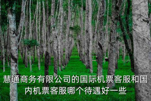 慧通商務有限公司的國際機票客服和國內機票客服哪個待遇好一些