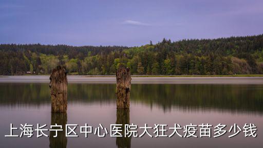 上海長寧區中心醫院大狂犬疫苗多少錢