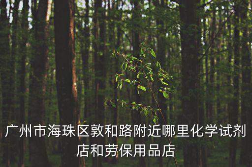 廣州市萊茵石貿易有限公司，廣州市海珠區敦和路附近哪里化學試劑店和勞保用品店