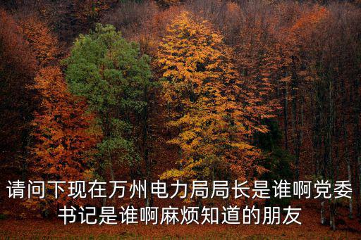 重慶市萬州區書記是誰，萬州區委書記是誰