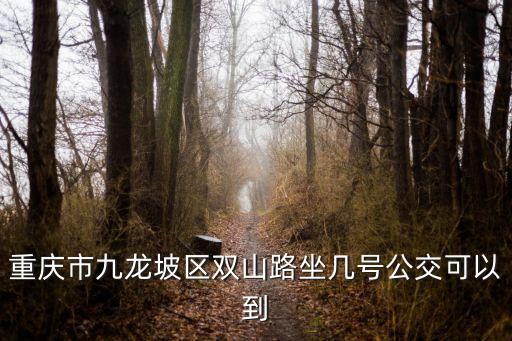 重慶市九龍坡區雙山路坐幾號公交可以到