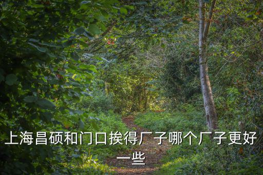 上海昌碩和門口挨得廠子哪個廠子更好一些