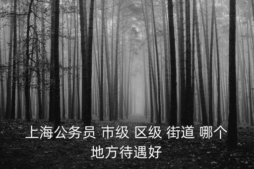 上海市街道辦正式職工待遇怎么樣，上海東明路街道社工待遇如何