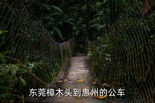 東莞樟木頭到惠州的公車