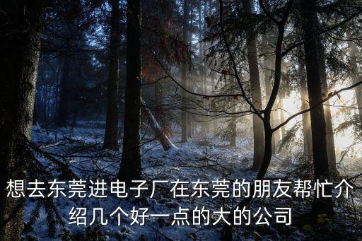 想去東莞進電子廠在東莞的朋友幫忙介紹幾個好一點的大的公司