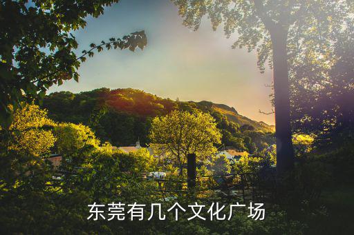東莞有幾個(gè)文化廣場(chǎng)