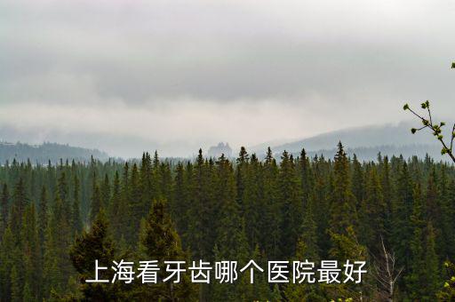 上海看牙齒哪個(gè)醫(yī)院最好