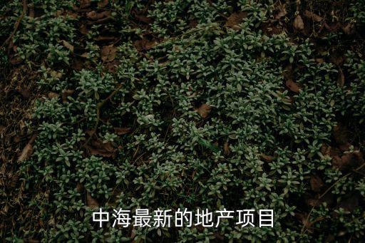 中海最新的地產項目