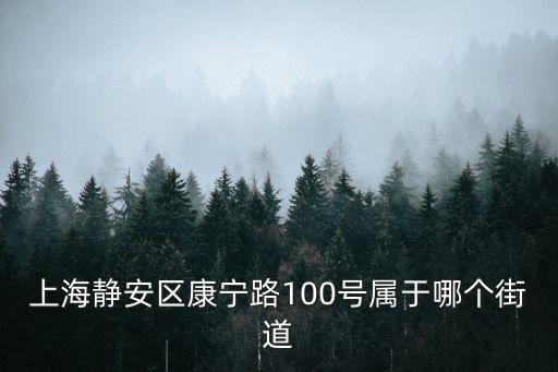 上海市康寧路，上海市康武路在哪個區(qū)