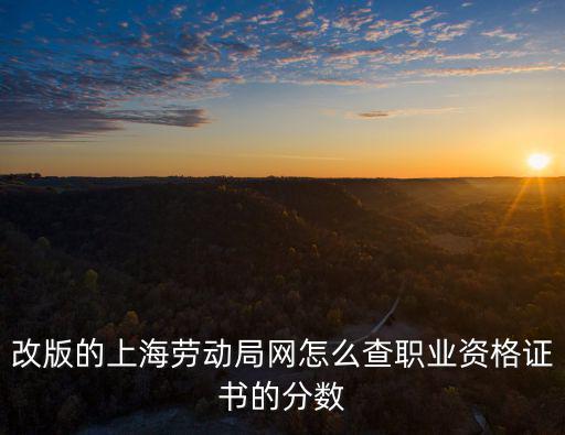 改版的上海勞動局網怎么查職業資格證書的分數