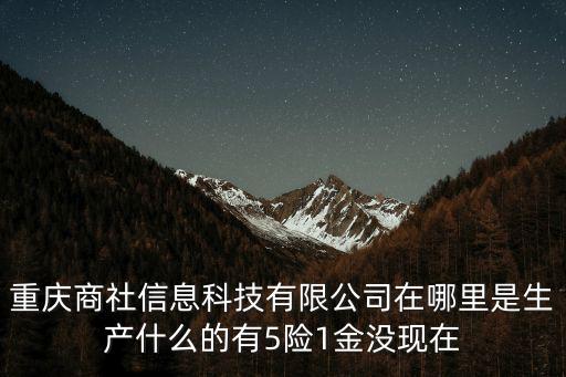 重慶商社信息科技有限公司在哪里是生產(chǎn)什么的有5險(xiǎn)1金沒現(xiàn)在