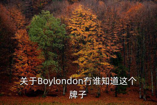 關(guān)于Boylondon冇誰(shuí)知道這個(gè)牌子