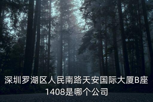 深圳羅湖區(qū)人民南路天安國際大廈B座1408是哪個公司