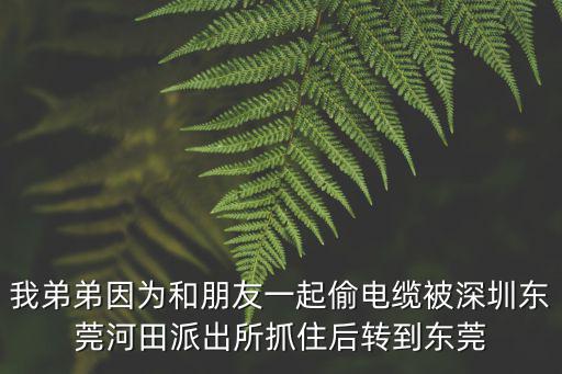 我弟弟因為和朋友一起偷電纜被深圳東莞河田派出所抓住后轉(zhuǎn)到東莞