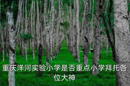 重慶市首批重點(diǎn)小學(xué)，重慶洋河實(shí)驗(yàn)小學(xué)是否重點(diǎn)小學(xué)拜托各位大神