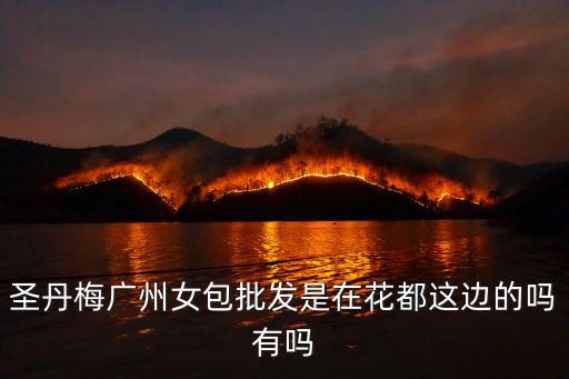 圣丹梅廣州女包批發(fā)是在花都這邊的嗎有嗎