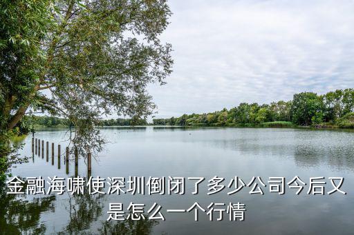 金融海嘯使深圳倒閉了多少公司今后又是怎么一個行情