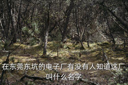 在東莞東坑的電子廠有沒有人知道這廠叫什么名字