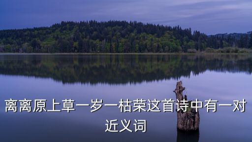 離離原上草一歲一枯榮這首詩中有一對近義詞