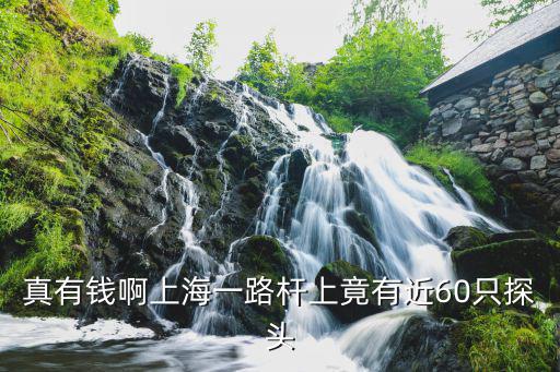 真有錢啊上海一路桿上竟有近60只探頭
